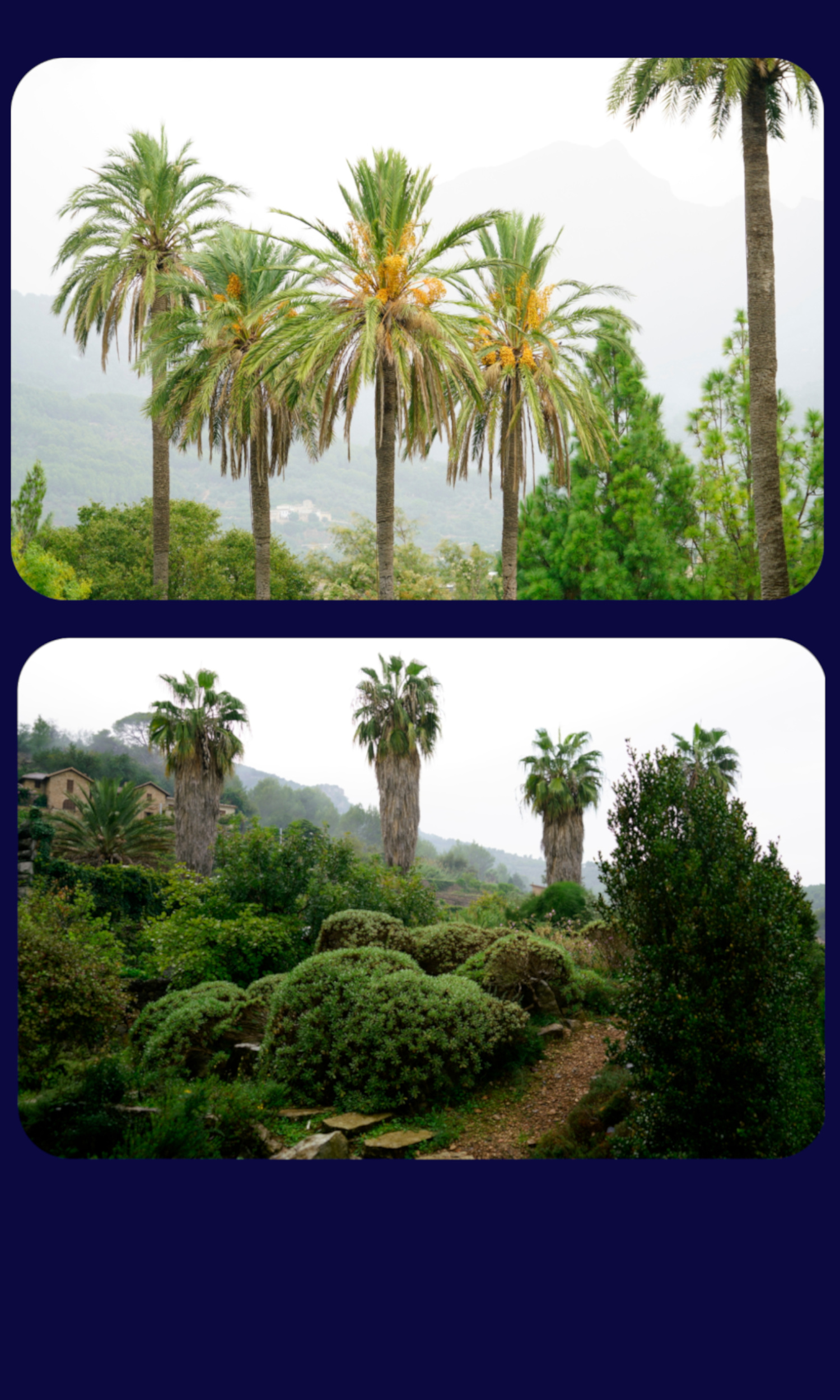 Mallorca Garten Soller